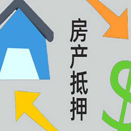 沙湖原种场助贷公司正规的有哪些新渝启服