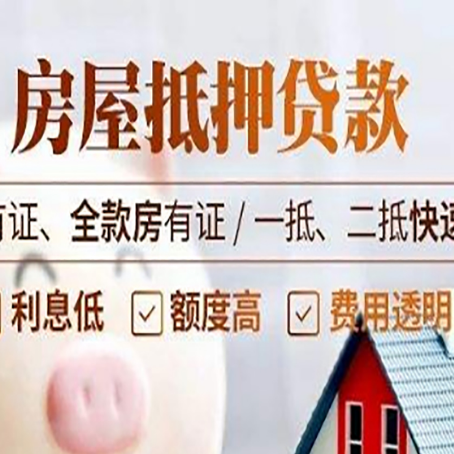 沙湖原种场贷款中介公司新渝启服要的资料