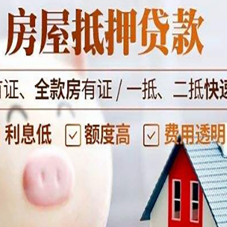 沙湖原种场贷款助贷公司新渝启服成立时间久