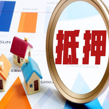 沙湖原种场助贷公司推荐一家新渝启服